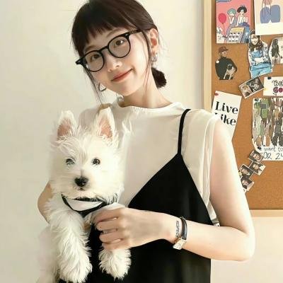爱情战争